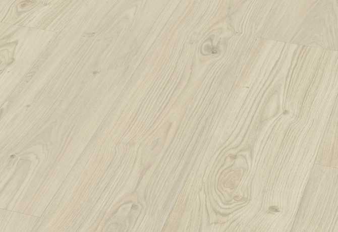 Amerish oak